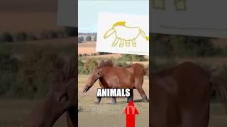 Animals in Real Life If They Were Drawn by Kids!