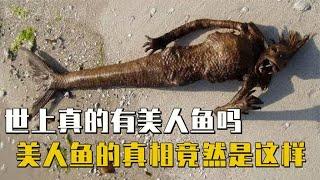 海洋里不被人所知的生物，海怪真的存在吗