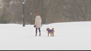 Capital Region residents make the best of a snowy situation