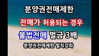 불법전매 분양권전매제한  3년이하징역 3천만원이하 벌금 1216부동산대책 10년 청약금지