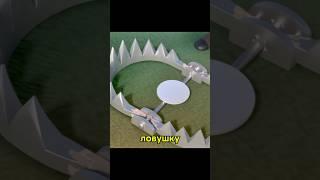 Охотник ставит капкан для охоты на медведя #мультики #мультфильм #фильм #кино #shorts