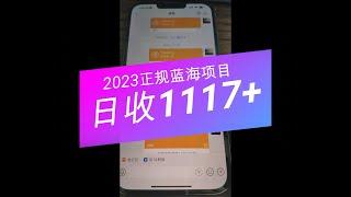 2023正规蓝海项目，一天收款1117元#makemoney #makemoneyonlinenow #网赚2023 #网赚之家 #网赚论坛 #网赚项目 #赚钱 #收入展示#真实收入