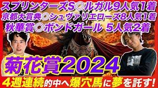 【菊花賞2024】4週連続を的中を懸けてこの爆穴本命に夢を託す！