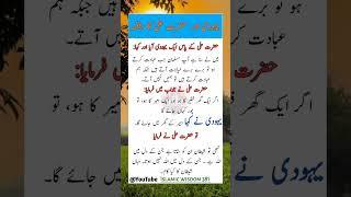 Hazrat ali ka waqkia | Best Islamic quotes | Hadees in Urdu| Shorts Video #shorts #hadees#motivation