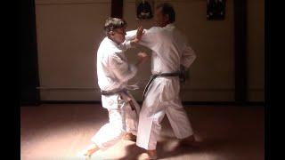 Hotton sensei, movement patterns - Petaluma CA 2024