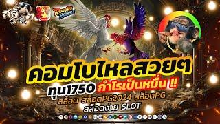 สล็อต สล็อตpg สล็อตเว็บตรง เว็บตรงไม่ผ่านเอเย่นต์ สล็อตแตกง่าย | สล็อตไก่ชนPG