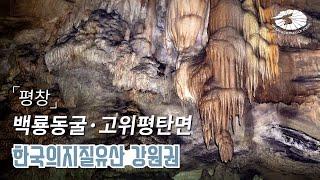 [국가지질공원] 평창 | 백룡동굴‧대관령 고위평탄면 - 한국의 지질유산 강원권