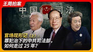 官场现形记：罪犯治下的中共司法部，如何走过25年？（上）｜严打｜官场｜买官｜贿赂｜落马｜司法考试｜王局拍案20241030