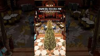 강남에 있는 초호화 크리스마스 컨셉 카페#seoulcafe #koreatravel #서울카페 #christmas #크리스마스