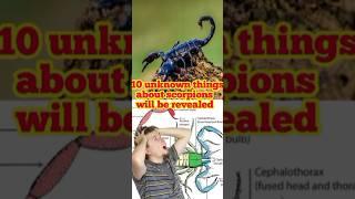 Stinging Truth: 10 Unknown Facts about Scorpions|documentary tv#documentary#freedocumentary#scorpio