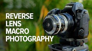 How To Do Reverse Lens Macro Photography