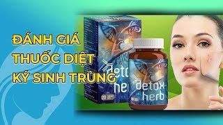 Detoxherb Có Tốt Không? Giá Bao Nhiêu? Mua Ở Đâu?