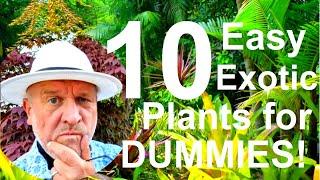 Tropical Gardens UK: 10 Ten Easy Exotic Plants for Beginners