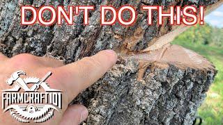 No Nonsense Guide to Tree Felling.  How to cut down a tree safely.  FarmCraft101