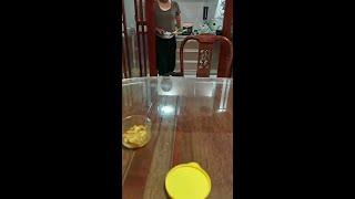 仔仔：这是什么？咹？！…请给我个完美的解释…#我家毛孩子#萌宠日常记录