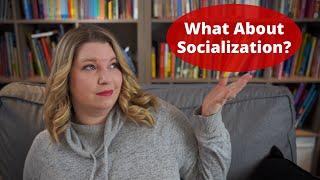 What About Socialization? | A Common Homeschooling Question | Raising A to Z