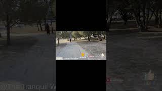 *HIGHLIGHTS* Tranquil Walk (CHECK CHANNEL FOR FULL VIDEO): Carl Levin City Park, Harker Heights, TX