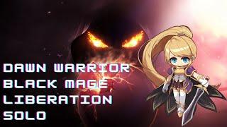 Dawn Warrior Black Mage Solo - MSEA | Aquila