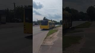 МАЗ-215Большой респект Диме!#maz #automobile #liaz