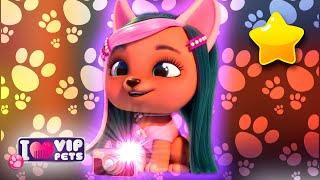  THE COOLEST PHOTOSHOOT  VIP PETS  NEW SEASON  NEW EPISODE  CARTOONS for KIDS in ENGLISH