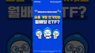 요즘 가장 인기있는 월배당 ETF? Kodex 미국배당커버드콜액티브 ETF