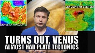 Geological Evidence on Venus Reveals It Almost Became Like Earth