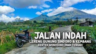 Suasana Menyejukan!! Jalan Indah Di Lereng Gunung Sindoro & Kembang Wonosobo