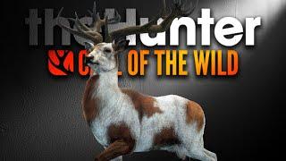 Super Rare VERSCHOSSEN? - Trophy Lodge React! | theHunter Call of the Wild