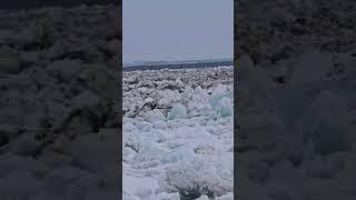 Енисей 31мая г. Норильск