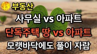 부동산 사무실 vs 아파트  단독주택 땅 vs 아파트  모랫바닥에도 풀이 자람