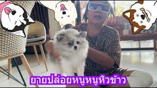 ยายปล่อยหนูหนูหิวข้าว | ข้าวเหนียว ขี้กระโปกหมา