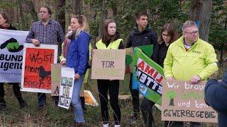 Raubbau an der Zukunft? Proteste gegen Waldrodung bei Grabow