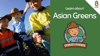 Asian Greens with George the Farmer