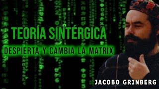 La Teoría Sintérgica de Jacobo Grinberg explicada fácilmente | Despierta y cambia la Matrix Lattice