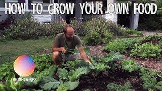 Rob Greenfield will only eat foods for 1 year that he has grown himself!