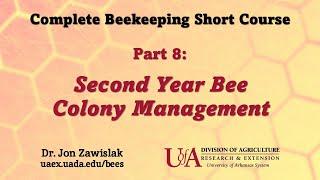 Part 8: Second Year Bee Colony Management