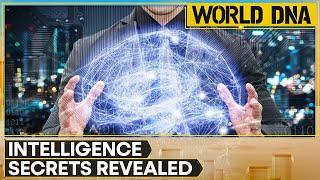 Study Compares Brain Function To The Internet, Defines Intelligence By Brain Wiring | World DNA