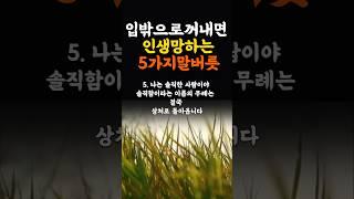 입밖으로 꺼내면 인생 망하는 5가지말버릇 인생조언 명언 철학 삶의지혜 좋은글 인간관계 중년의삶 인생명언 중년명언 인간관계 오디오북 인생명언#명언#좋은글 #중년조언#지혜