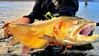 The Secret to Fly Fishing Pyramid Lake - Landed one of the BIGGEST Cutthroat in the WORLD!!