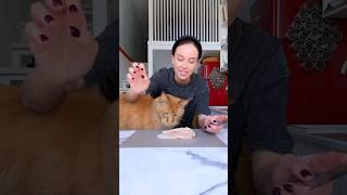 молча готовлю сливочную пасту на кухне у кота #асмр #готовимдома #рецепты #готовка #еда