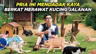 Kehidupan Pria Pengangguran ini Berubah Setelah Merawat Kucing Kucing Jalanan - Alur Cerita Film