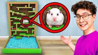 I Built a Minecraft Maze for my Hamster