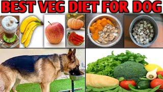 Best Home Made Veg Diet for Dogs | Healthy Dog Food recipe