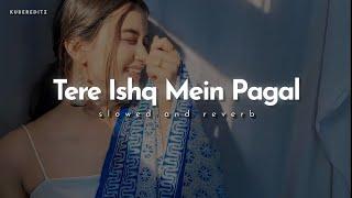 Tere Ishq Mein Pagal || (Slow+Reverb) Uditnarayan & Alka yagnik || KuberEditz #Lofi