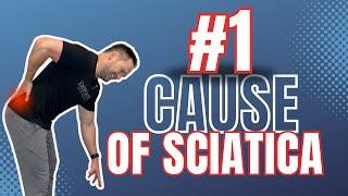 What causes Sciatica!? (Quick and Easy Explanation)