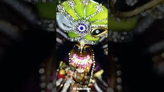 Mere Kishori Radhe #_Laddu Gopal Babu ka short video_ # ARk Radhe Krishna