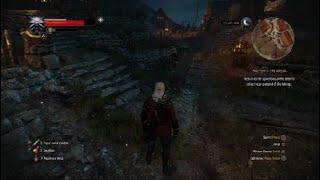 The Witcher 3: Wild Hunt Master Of The Arena Lose To Win