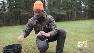 How to Clean a Grouse