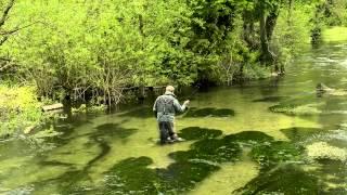 Trout & Salmon visits the Bourne Rivulet, Hampshire