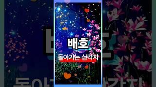 #배호 #돌아가는삼각지 #트로트 #트로트메들리 #트로트인기가요 #트롯 #트롯메들리 #트롯인기가요